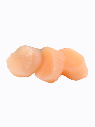 Hotate sashimi